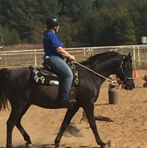 Meet your Posher, Denisealan